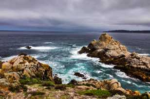 Point Lobos-3280.jpg